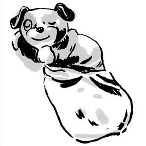 LF Twinkle Twinkle Little Scout and Twinkle Twinkle Little Violet